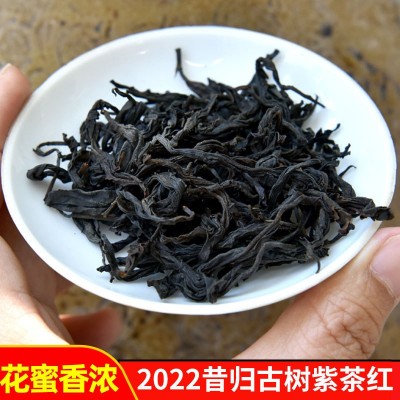 古树紫茶红茶 昔归紫茶古树原料的滇红茶 滋味醇厚 香甜花香香耐 1斤