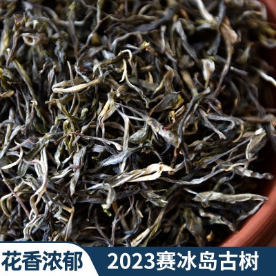 2023年赛冰岛 普洱生茶散茶云南古树普洱茶生茶花香浓郁鲜爽生普 1斤