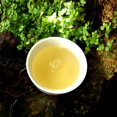 2025年头春茶普洱生茶易武三合社普洱茶生茶散茶香甜柔润茶叶批发 1斤图4