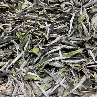 福建白茶 白牡丹冰糖甜高山早春花香牡丹 白牡丹 白茶批发 牡丹批 1斤