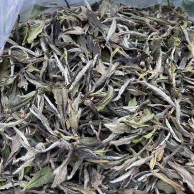 福建白茶 白牡丹冰糖甜高山早春花香牡丹 白牡丹 白茶批发 牡丹批 1斤图3