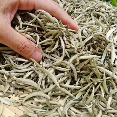 2025年新茶花香白毫银针 花香白茶美人白毫香500g散装茶叶批发 2斤图2