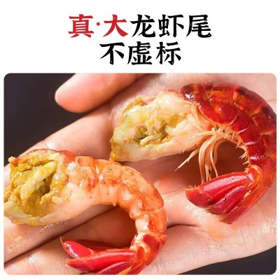 大号龙虾冷冻鲜活小龙虾无冰衣龙虾特级虾球鲜冻批发生鲜箱A 1盒图2