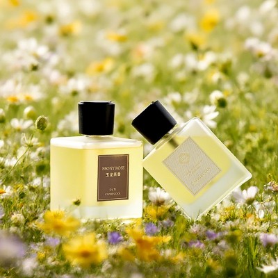 新款家居无火香氛室内客厅酒店香薰持久留香卫生间厕所除臭除味图3