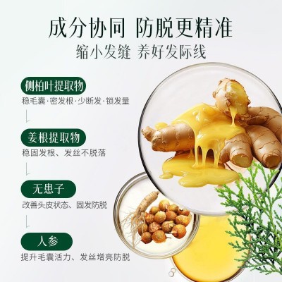 【抖音】人参防脱洗发水固发新升级控油滋养强韧发丝丰盈蓬松图5