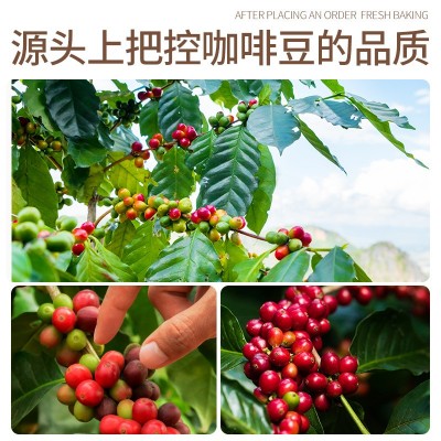 咖啡豆商用云南阿拉比卡袋装500g中深度新鲜烘焙意式拼配手冲磨粉图2