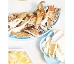 菌子-营养丰富且口感鲜美