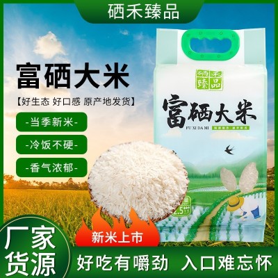 富硒大米批发池州特产安徽米包邮5kg10斤现磨现发富硒大米批发