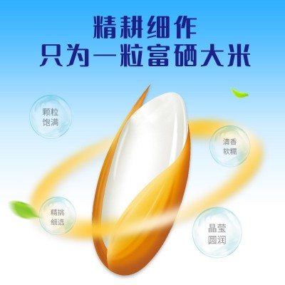 富硒大米10斤装石台富硒米石台硒米真空家用优质厂家直供大米批发