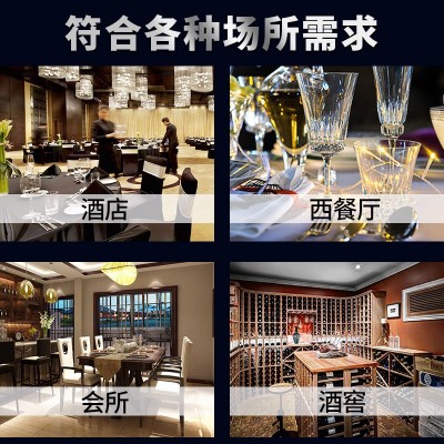 直营商用升级款电动洗杯机酒店吧台洗杯器小型刷玻璃杯子清洗机图4