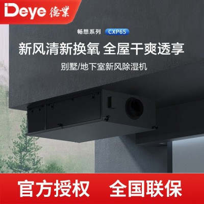 德业新风除湿一体机DY-CXP65 地下室别墅单向流净化抽湿机485集控图5