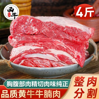 牛肉牛腩肉5斤冷冻火锅半成品商用批发整箱食材袋装炖煮火锅食材