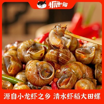 【严选】香辣海味零食开袋即食麻辣田螺螺蛳下酒菜螺蛳肉童年记忆小零食