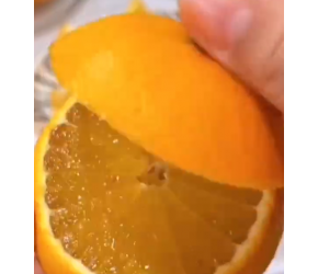 橙子还得是爱媛，快来一起尝个鲜，补充维生素