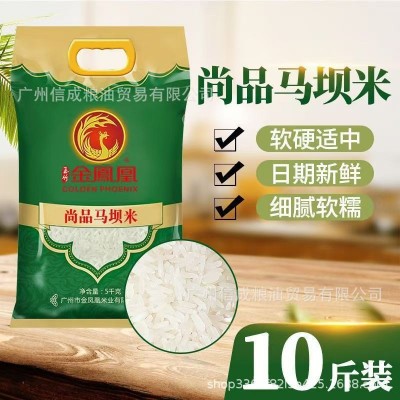 新米 马坝油粘米金凤凰 美香粘 丝苗米 5kg真空包装 礼品年会集采