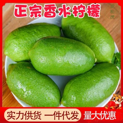 台湾香水青柠檬10斤整箱新鲜当季孕妇奶茶店批发3包邮5斤非黄柠檬