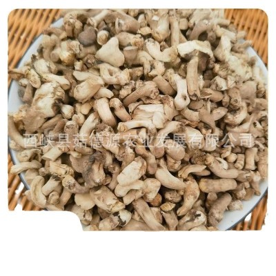 源头产地直发精选西峡单剪打磨香菇脚香菇腿冬菇柄商用批发干净